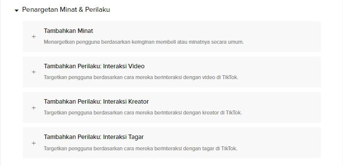 Audience TikTok