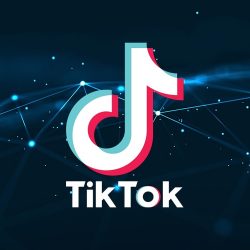 Audience TikTok