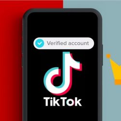 syarat tiktok centang biru