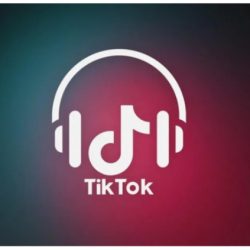 platform tiktok music