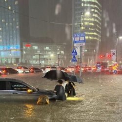 penyebab korea banjir hebat