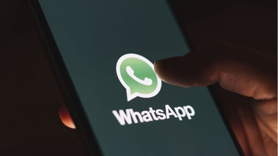 cara jualan di whatsapp