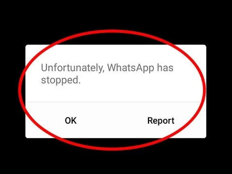 whatsapp tidak bisa download video