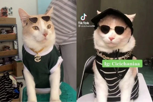 niche TikTok Affiliate yang paling menguntungkan