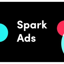apa itu TikTok Spark Ads